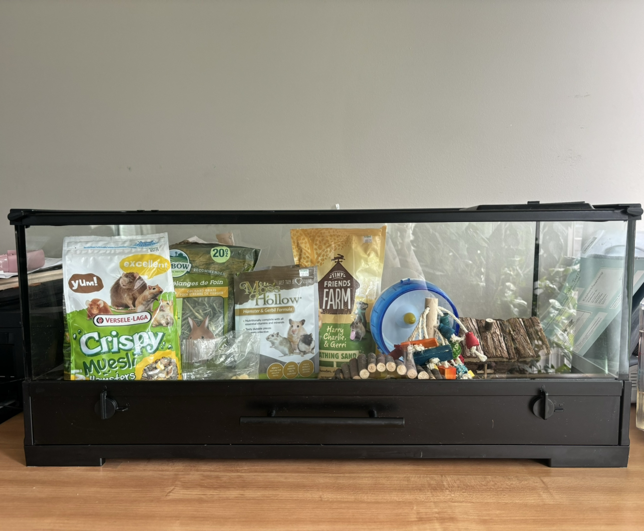 Terrarium. Used as hamster’s home