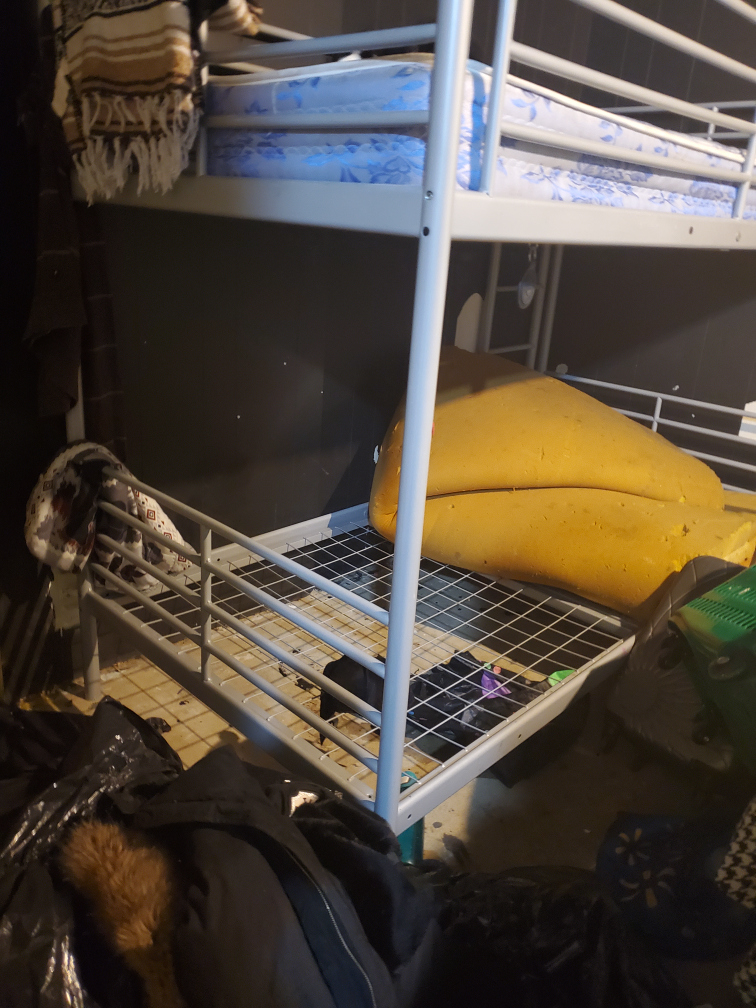 bunk bed