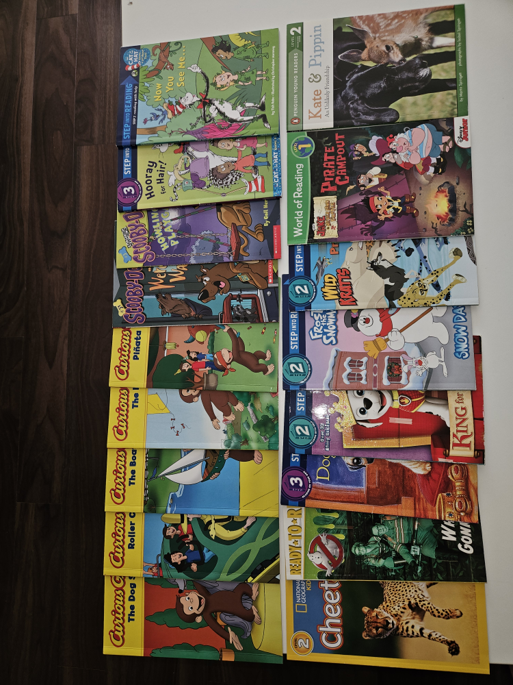 Kid's Books Captain Underpants, Dork Diaries + - photo 4