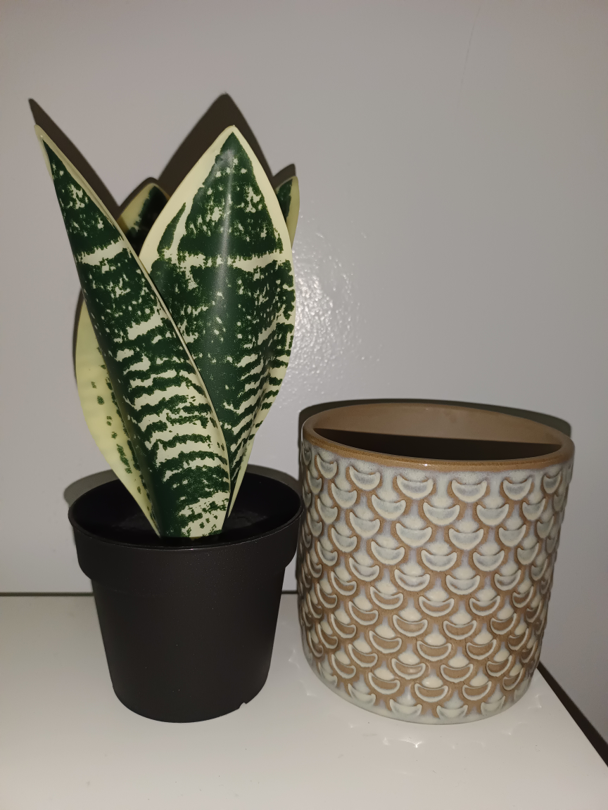 Artificial Plants, Pots from Ikea, all for $10 - photo 2