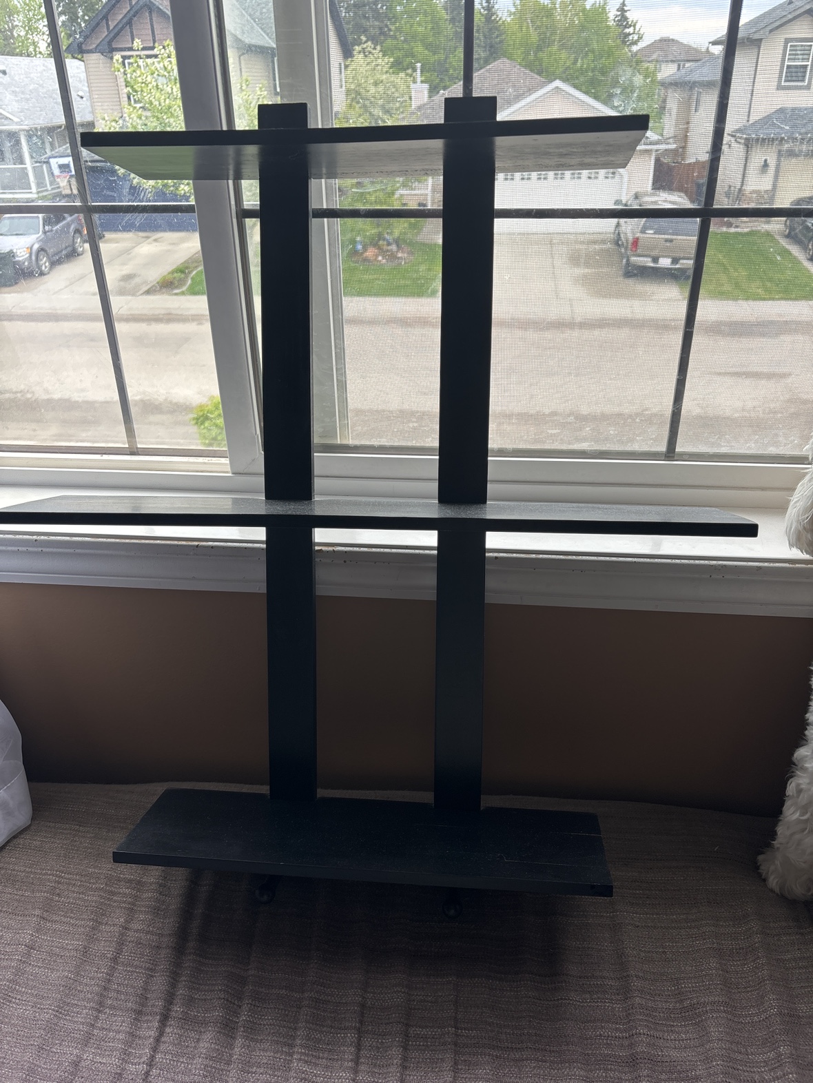 Black shelving