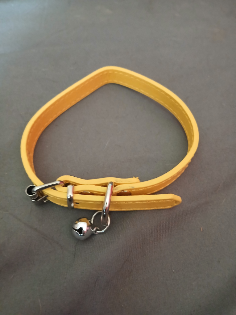 free dog/cat collars - photo 4