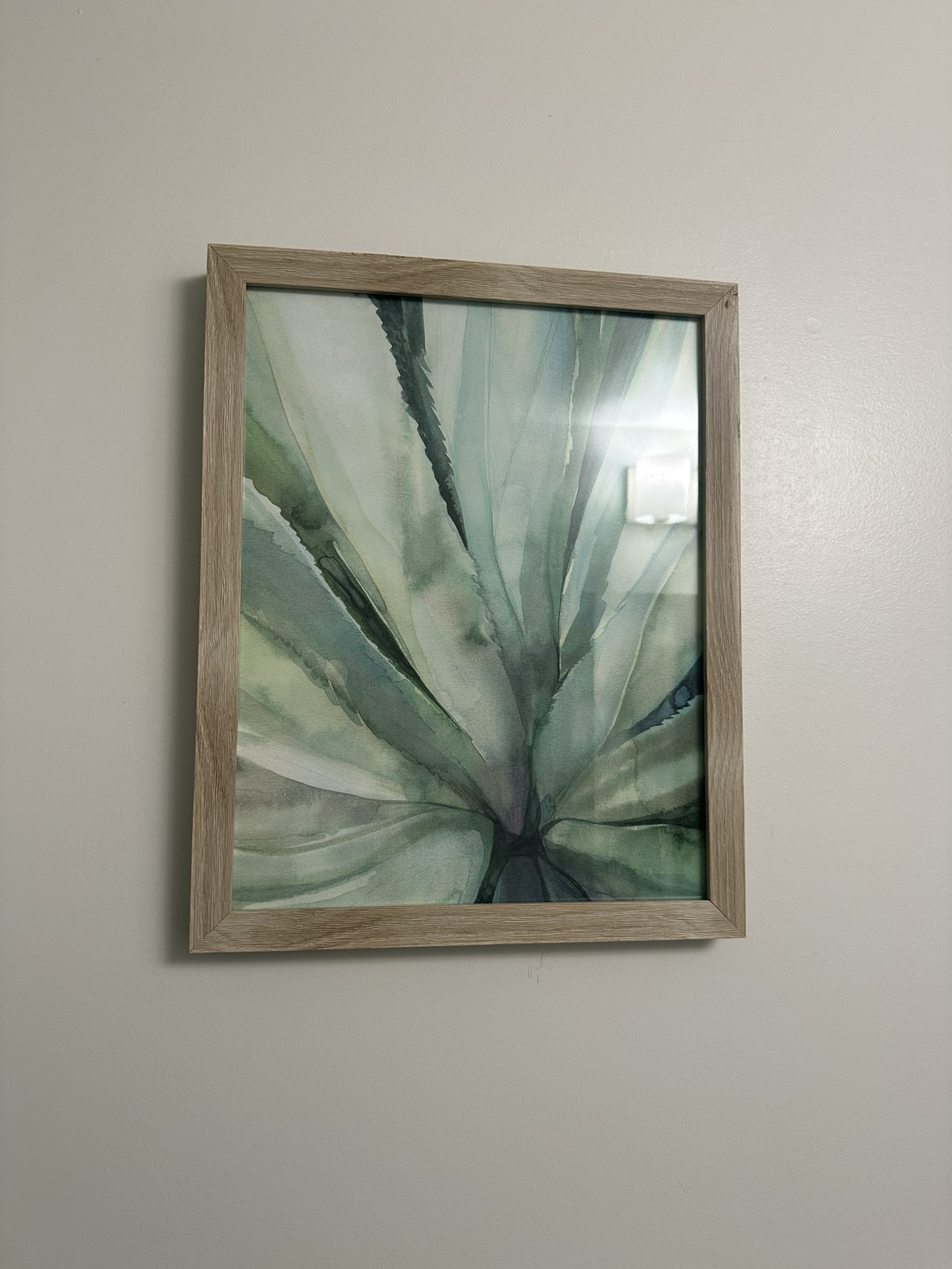 Set of 2 Plant Decor