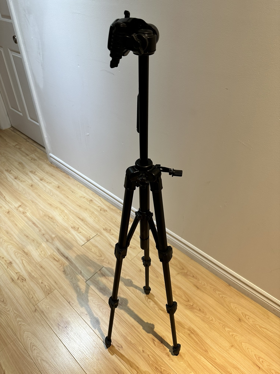 Camera Tripod
