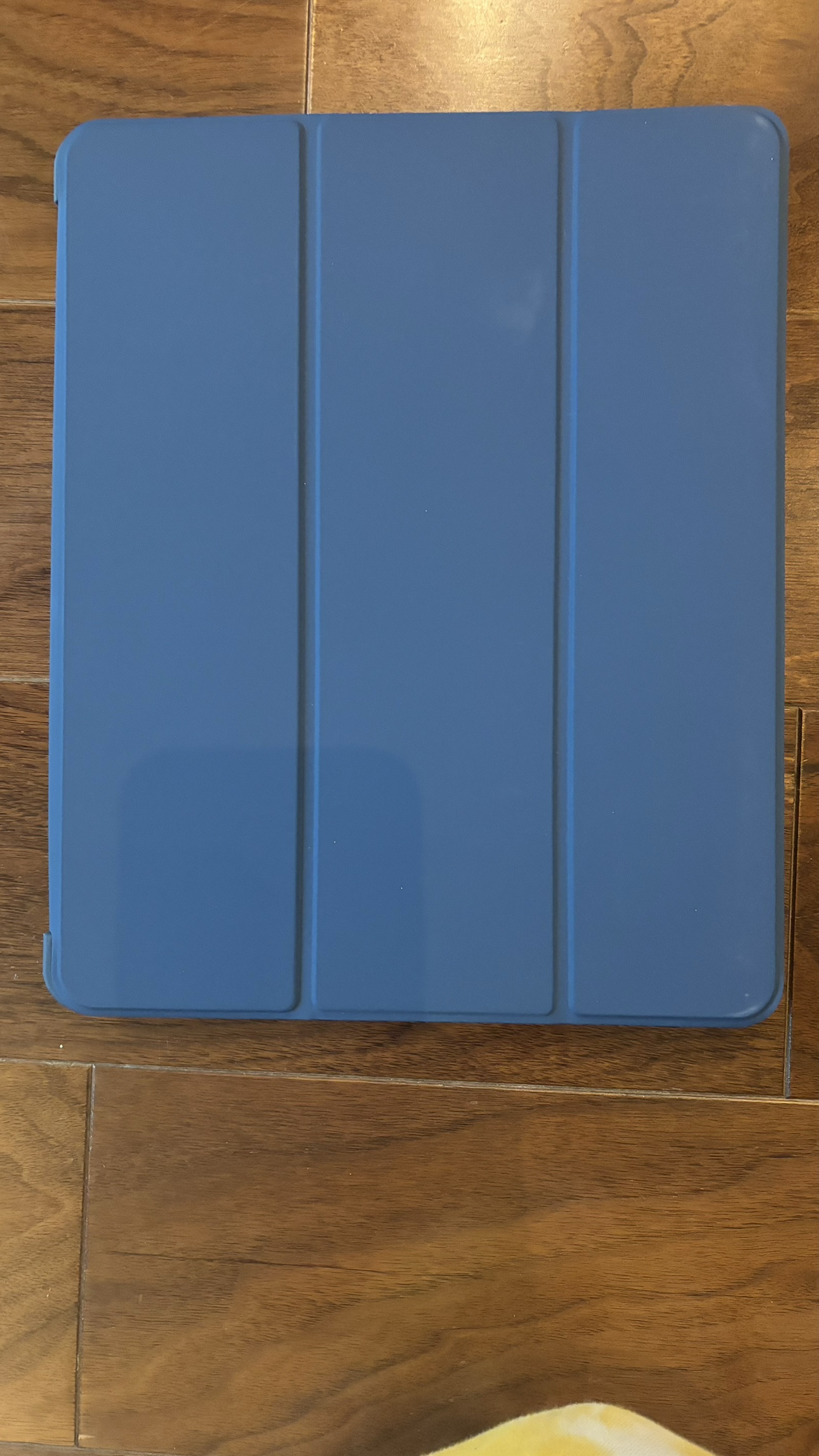 #freecycle Ipad Pro Case