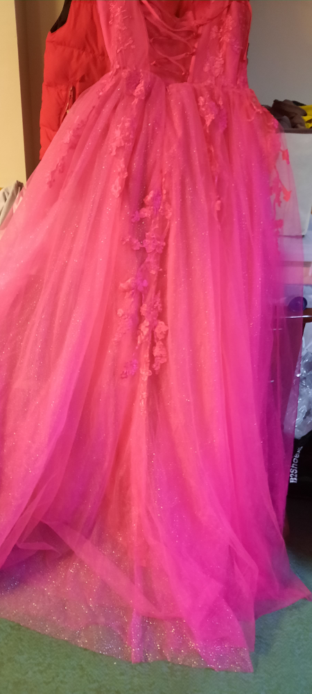prom dress or sweet sixteen - photo 3