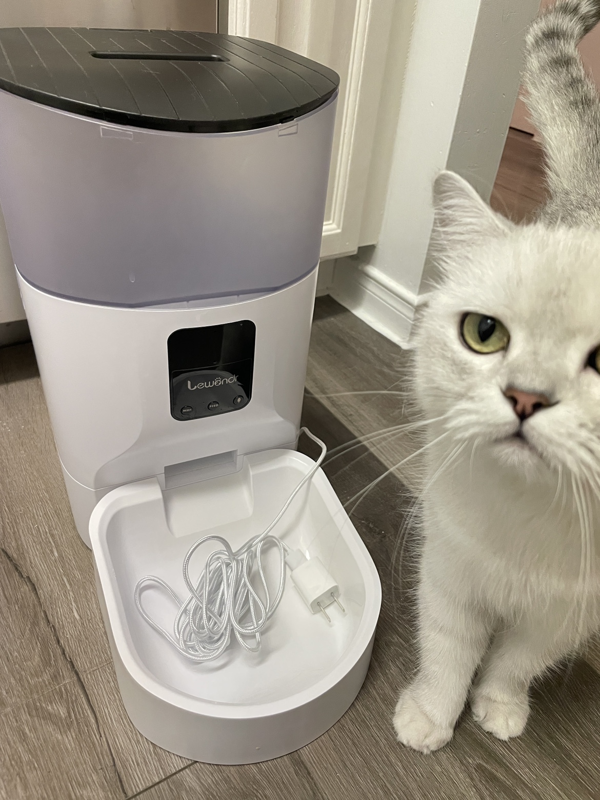 Automatic Cat Feeder thumbnail