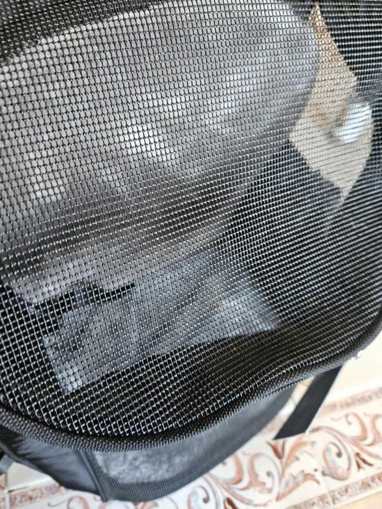 Hotel doggie carrying knapsac size large image indicator(7)