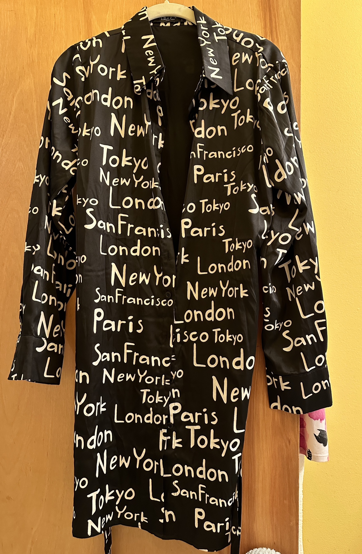 Akira Shirt Dress Large