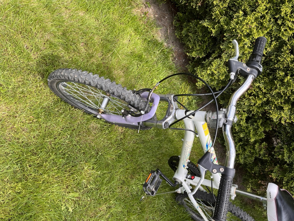 Nakamura Meyou 20 Inch Junior Mountain Bike - photo 5