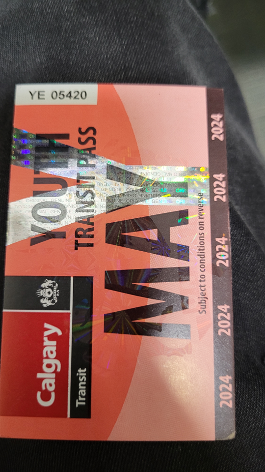 May bus pass - photo 2