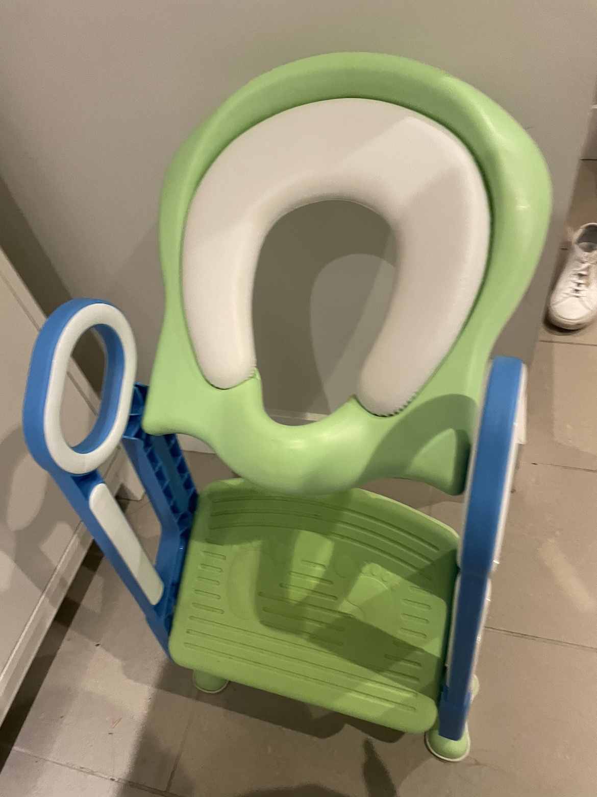 Potty training toilet seat