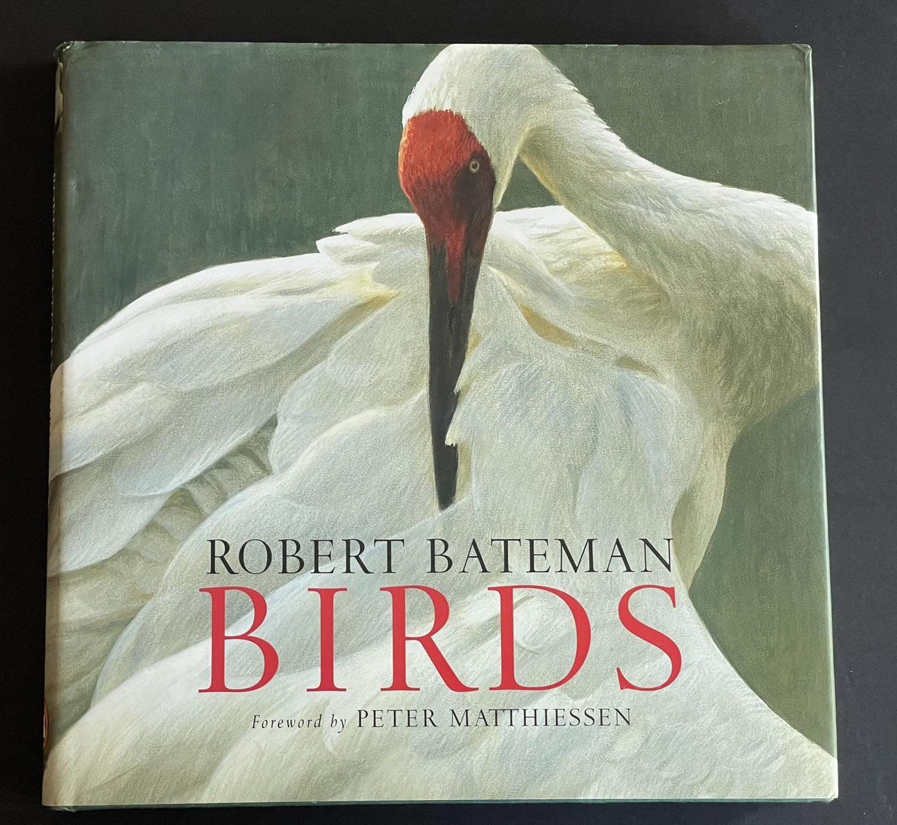 Beautifully illustrated BIRDS book by Robert Bateman