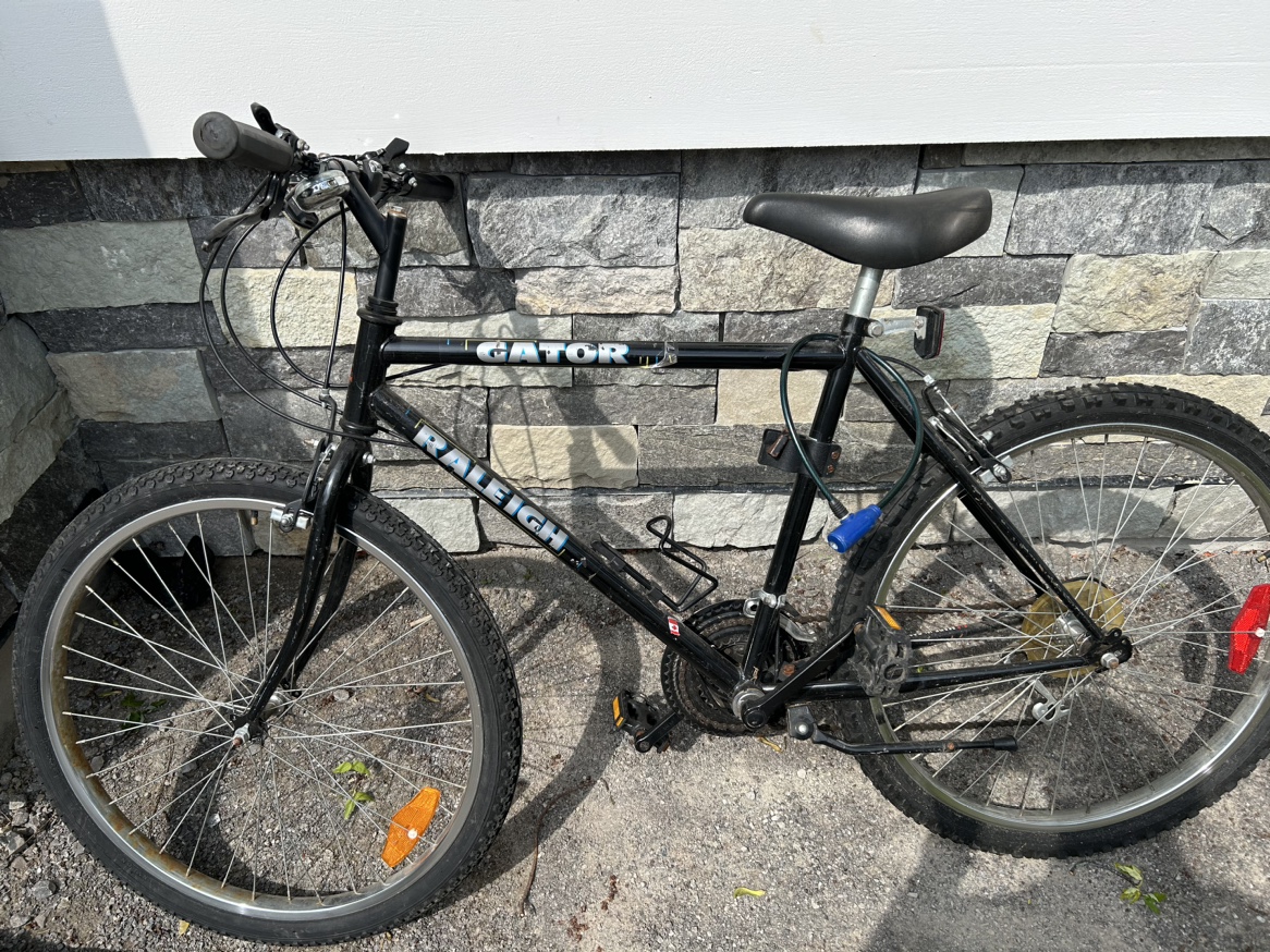 Raleigh Bike - photo 2