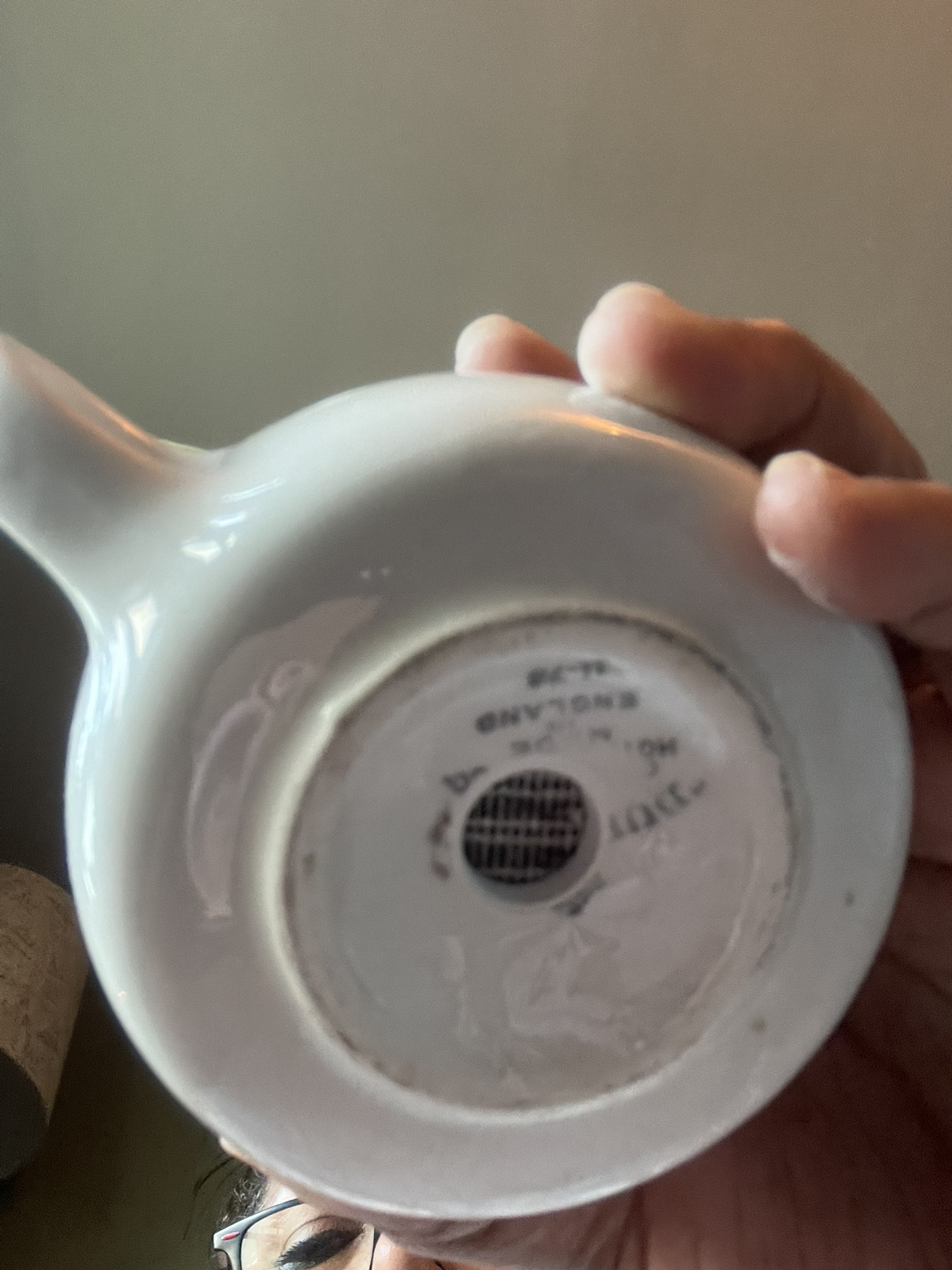 ZZ Plant, Syngonium, Hoya (Sold) & Haworthia image indicator(8)