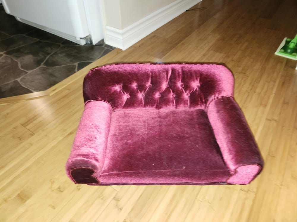 cat couch