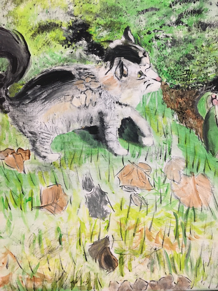 Little miss Tabby🐱 image indicator(3)