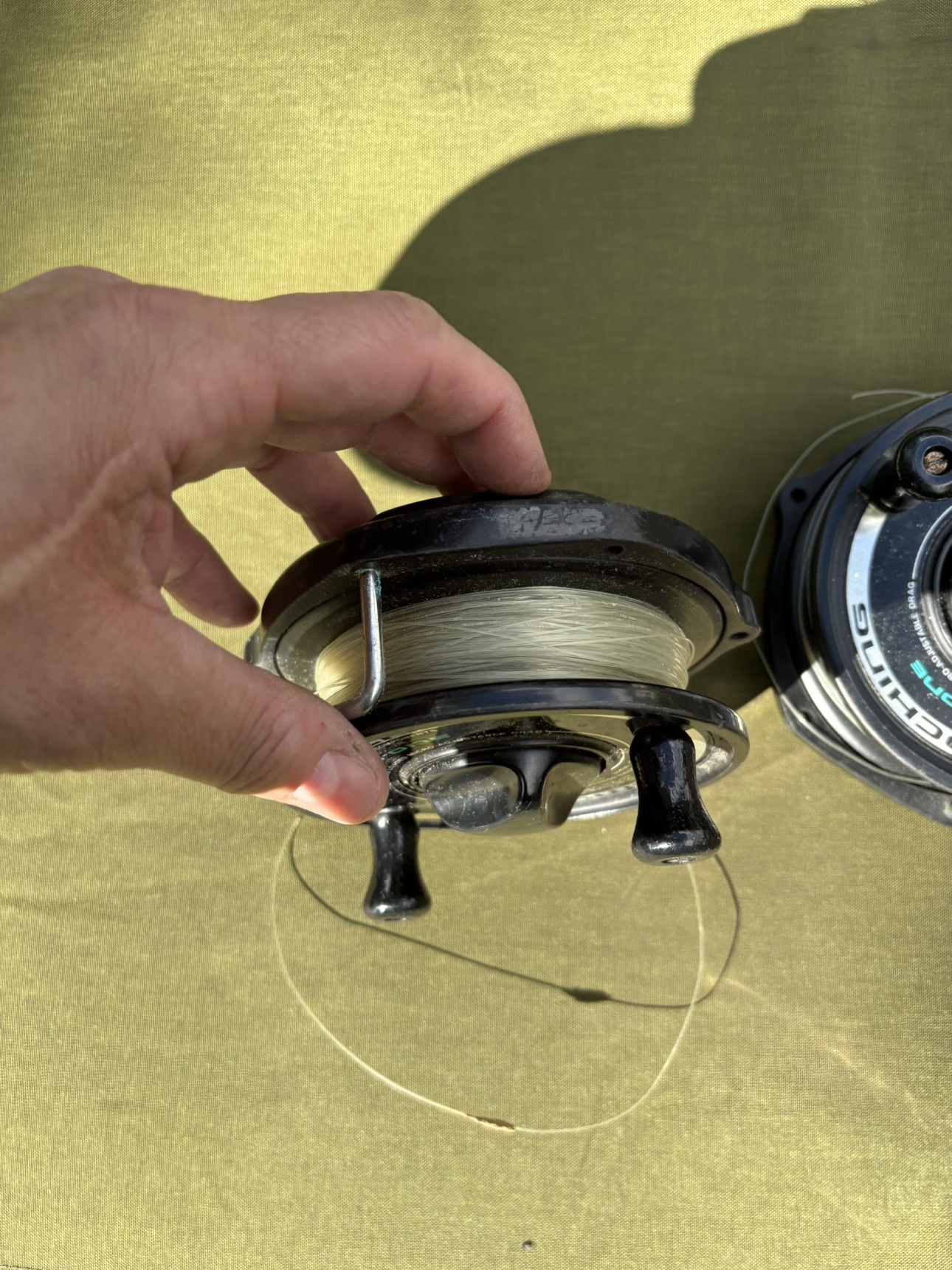 Daiwa m-one Salmon Mooching 🥕 image indicator(2)