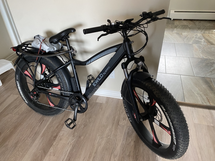 Electric bike
