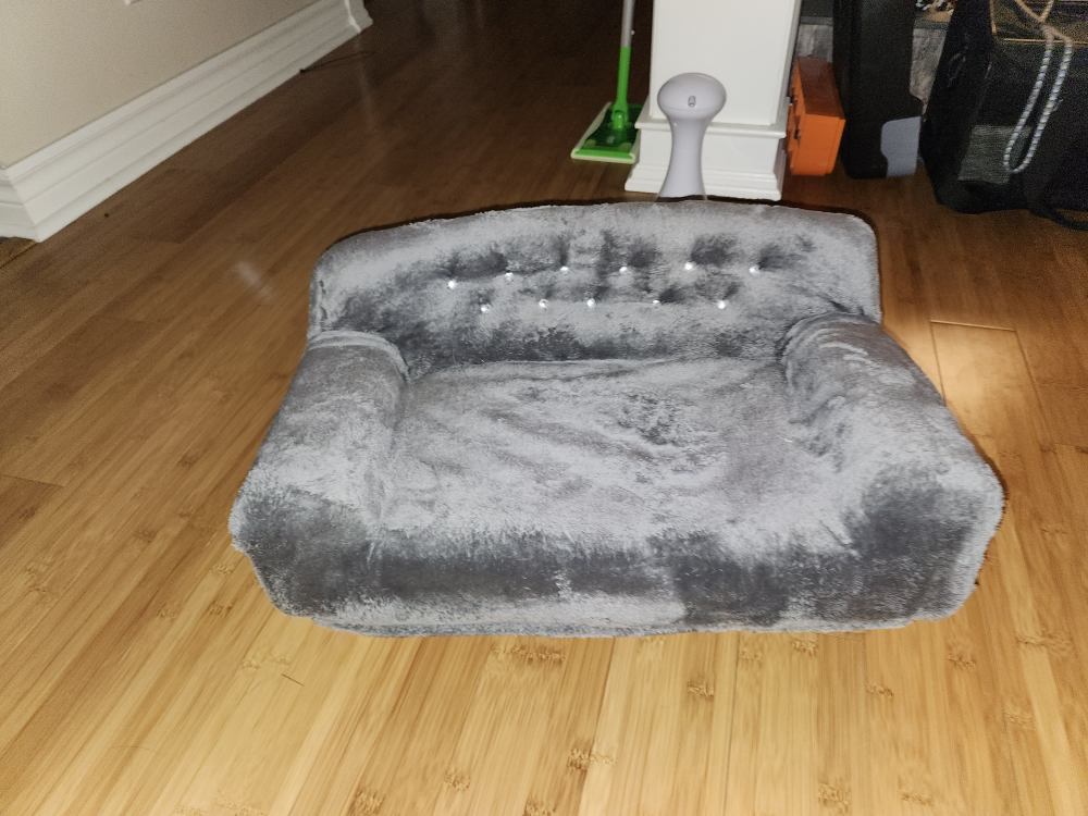 cat couch