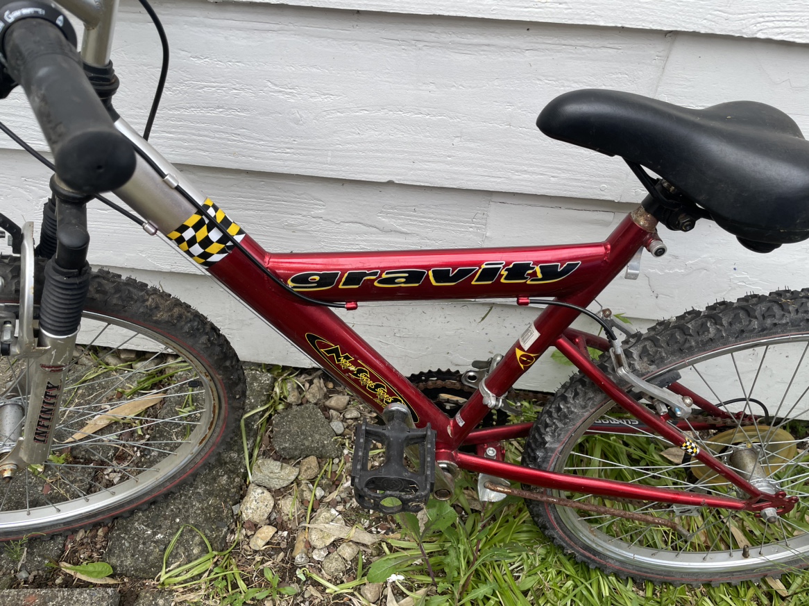 Gravity infinity Mountain Bike image indicator(2)