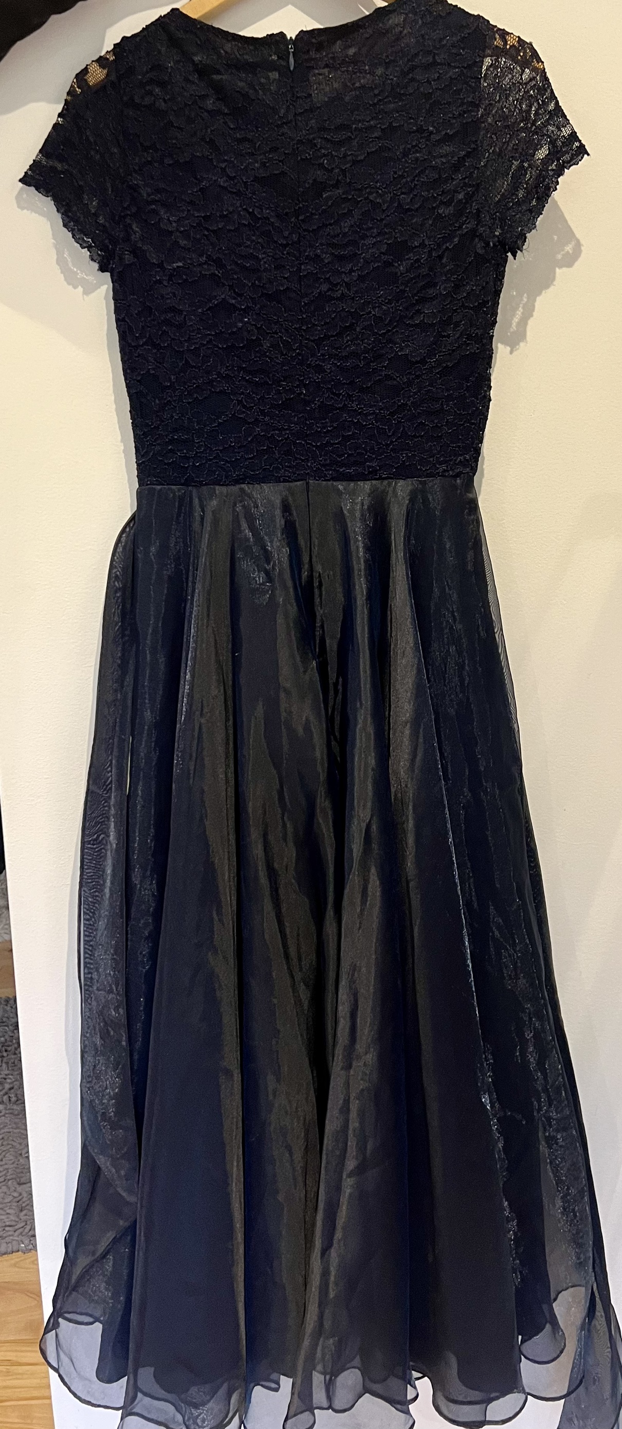 Grad/Prom, Dk Blue Lace/sheer satin & iridescent organza size 12 image indicator(9)