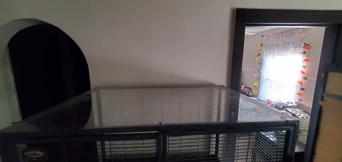 critter nation cage (read description) - photo 4