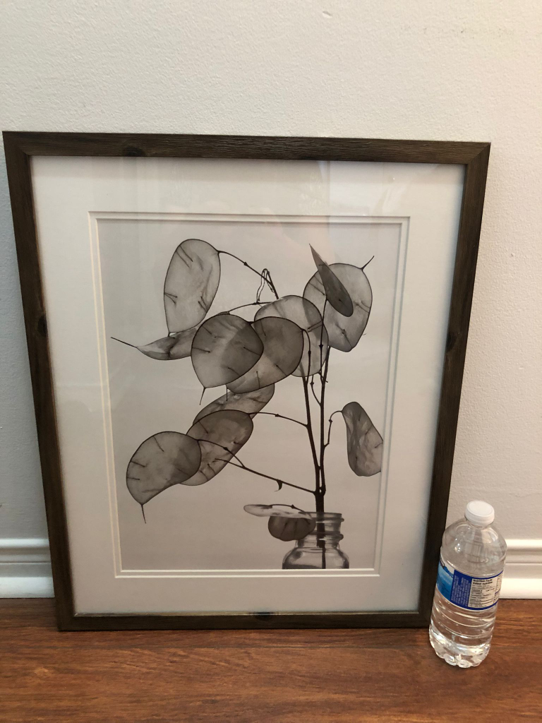 framed print thumbnail