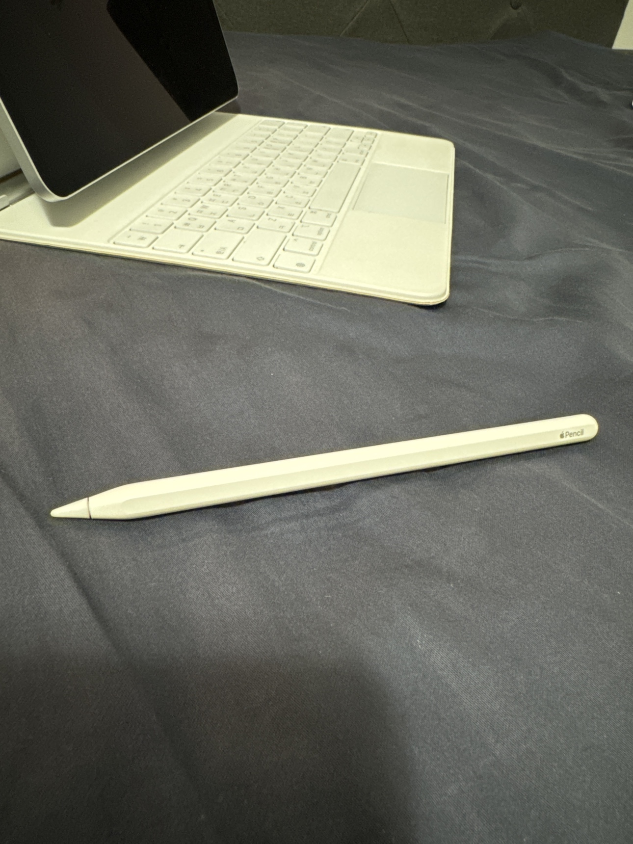 iPad Pro 12.9 5th gen 256GB Cellular Silver + Apple Pencil2 - photo 5
