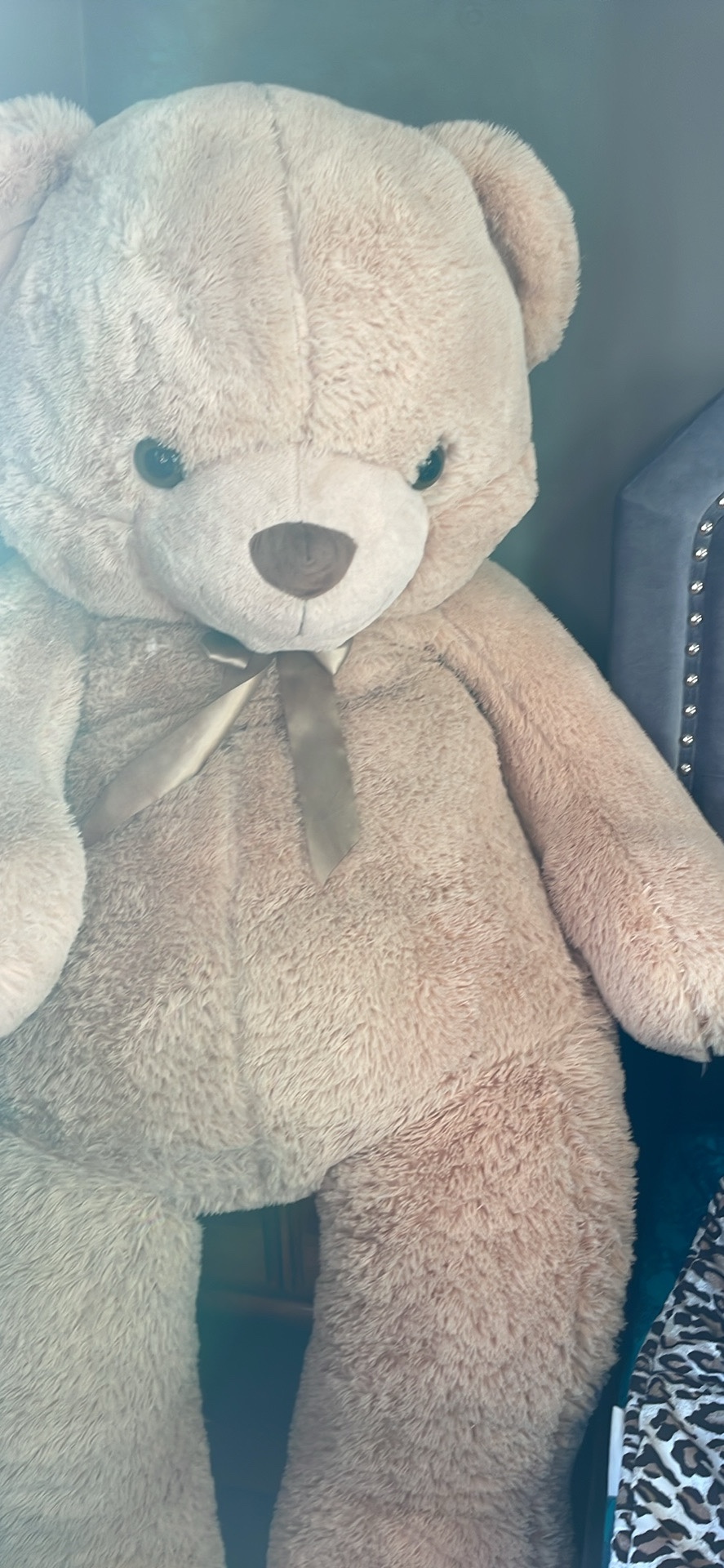 teddy bear - photo 2
