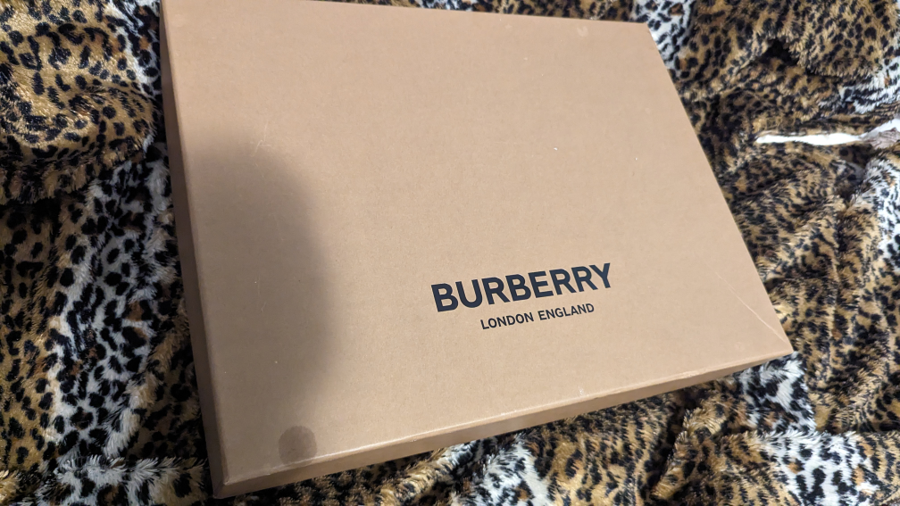 Authentic Burberry shoes