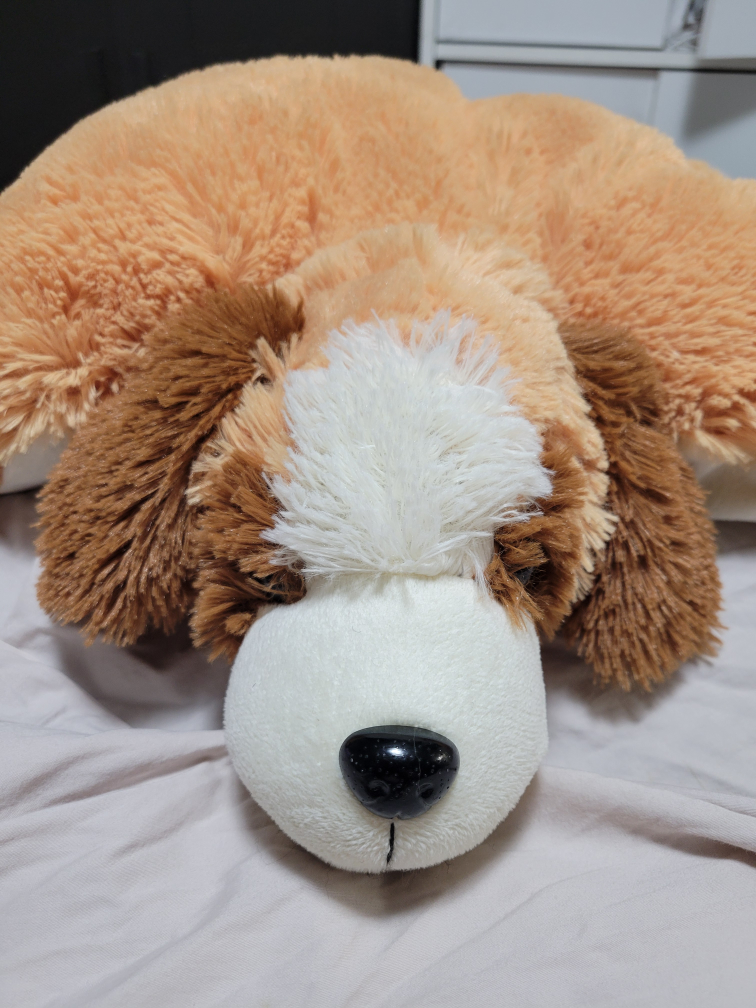 Dog Pillow Kids 🧡 thumbnail
