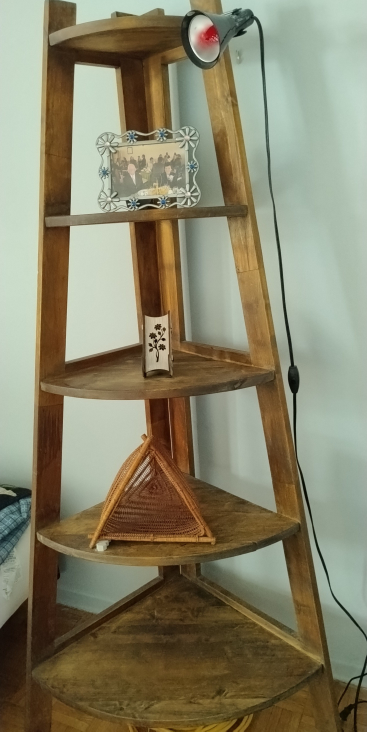 Hardwood Corner thumbnail