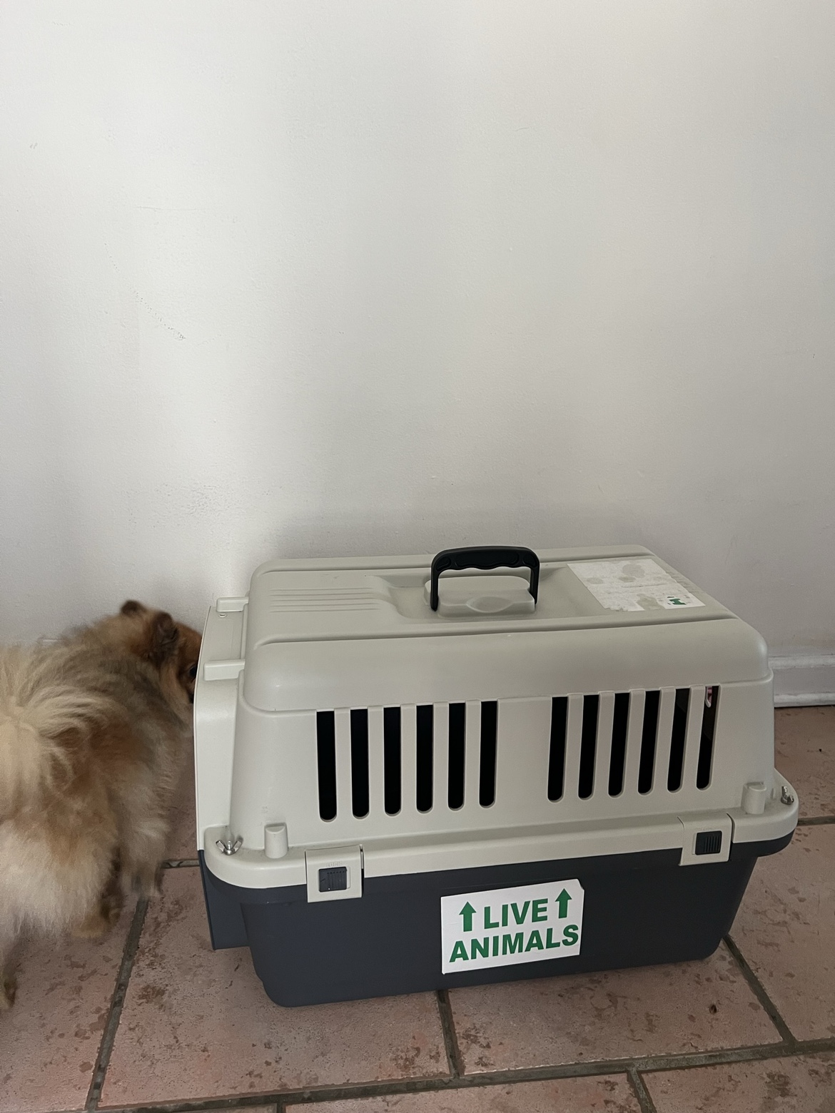 TSA approved hard small kennel - photo 3