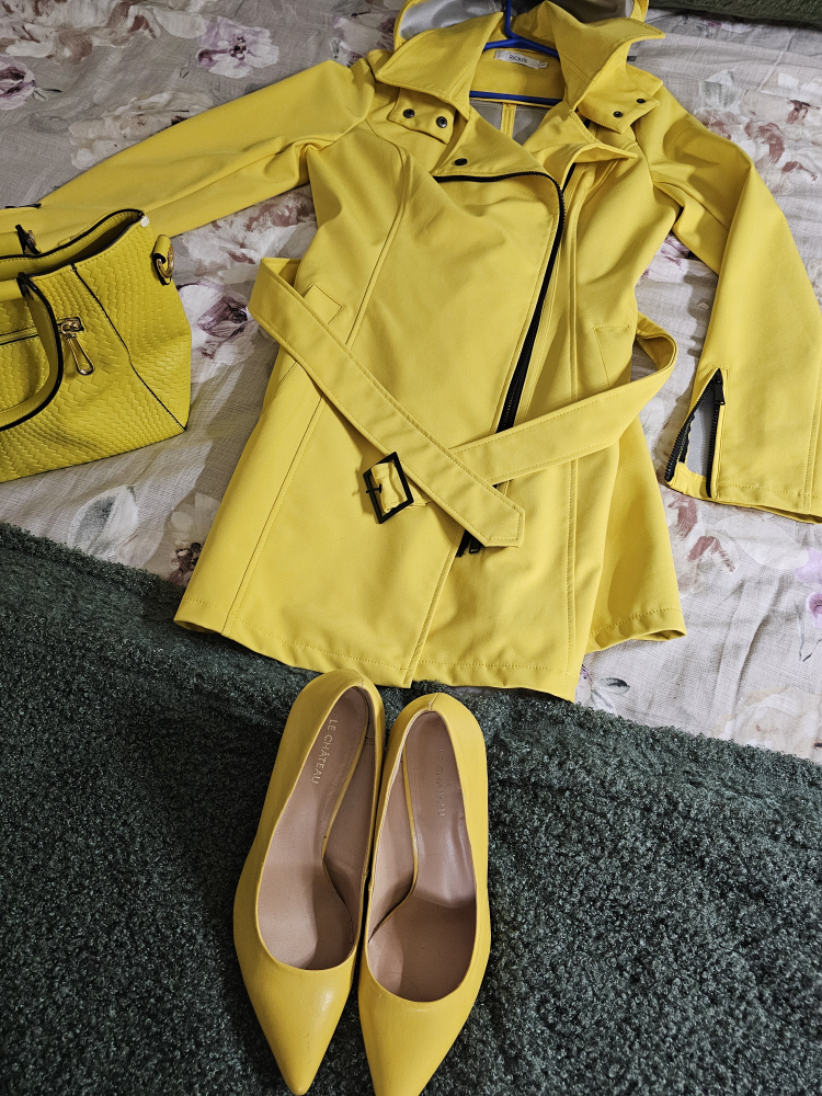 Woman's Shoes, Coat and Purse thumbnail