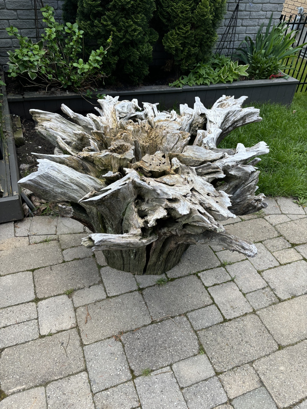 Whimsical Tree Stump Table Base - photo 3