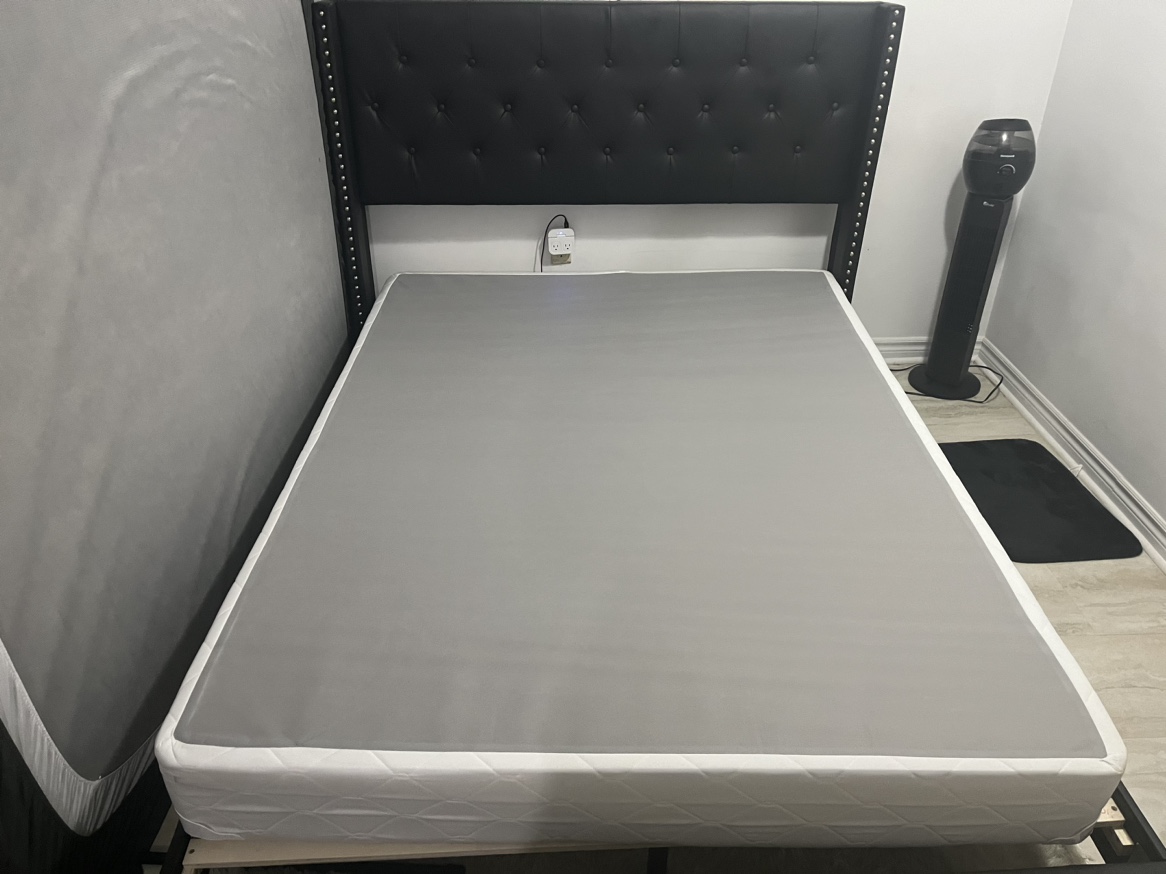 Queen Box Spring Only - photo 4