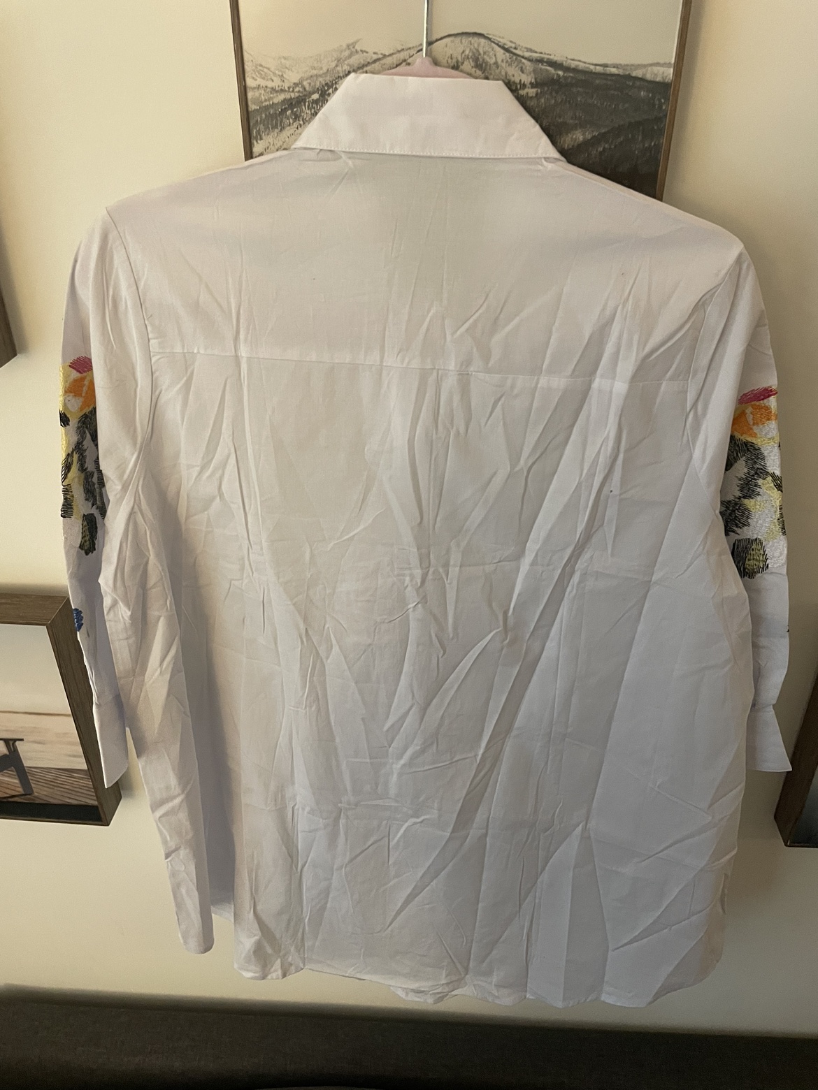 Beautiful shirt image indicator(2)