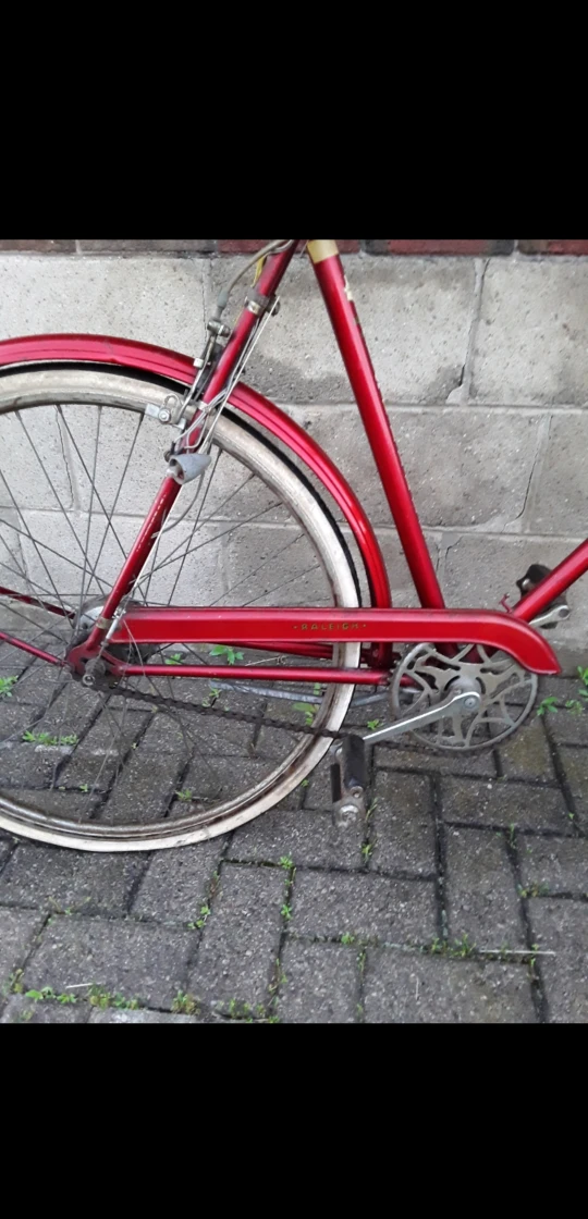 Vintage Raleigh bike.  $40 OBO image indicator(4)