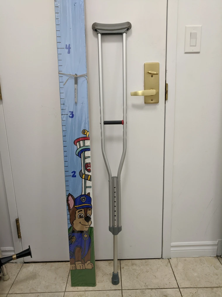 walking stick image indicator(4)