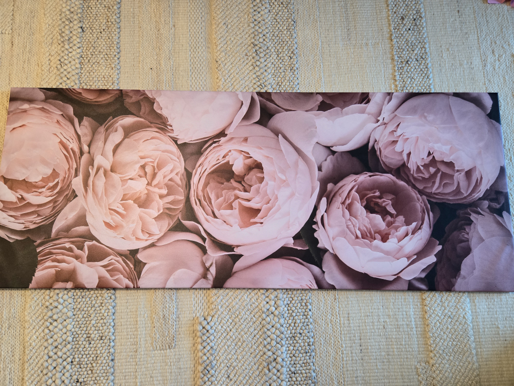Rose Horizontal Picture (IKEA: BJÖRKSTA) thumbnail