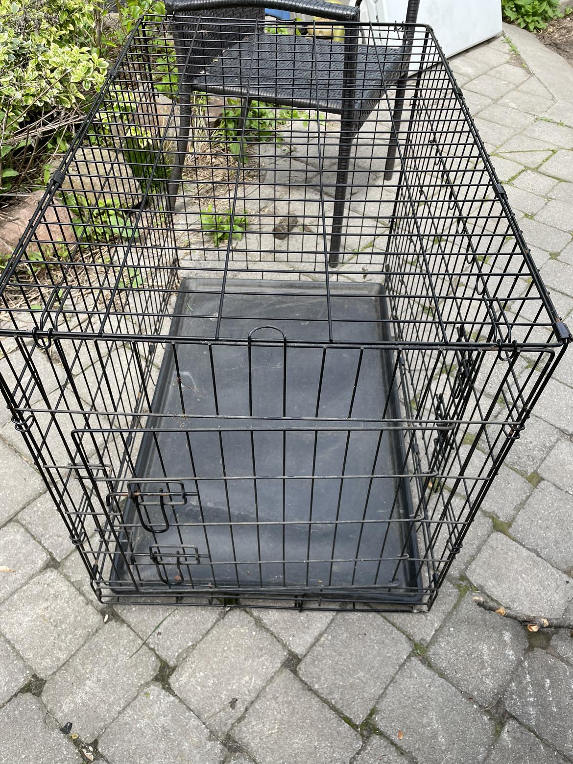 Large dog crate