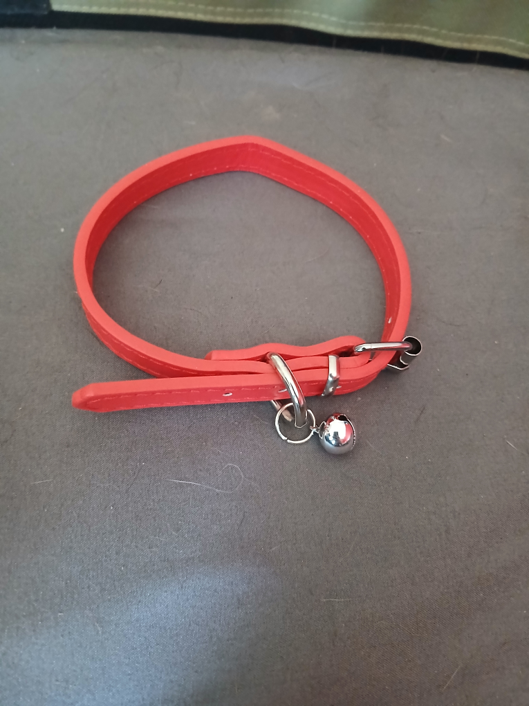 free dog/cat collars - photo 2