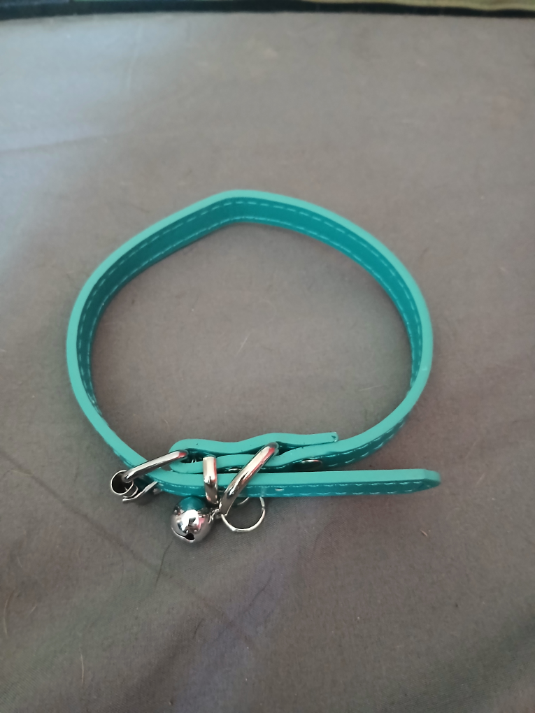 free dog/cat collars - photo 3