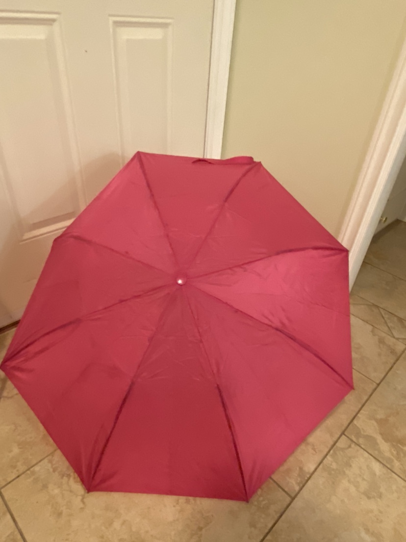Pink Umbrella - photo 3