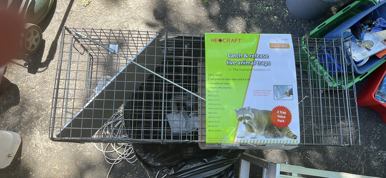 Raccoon live trap thumbnail