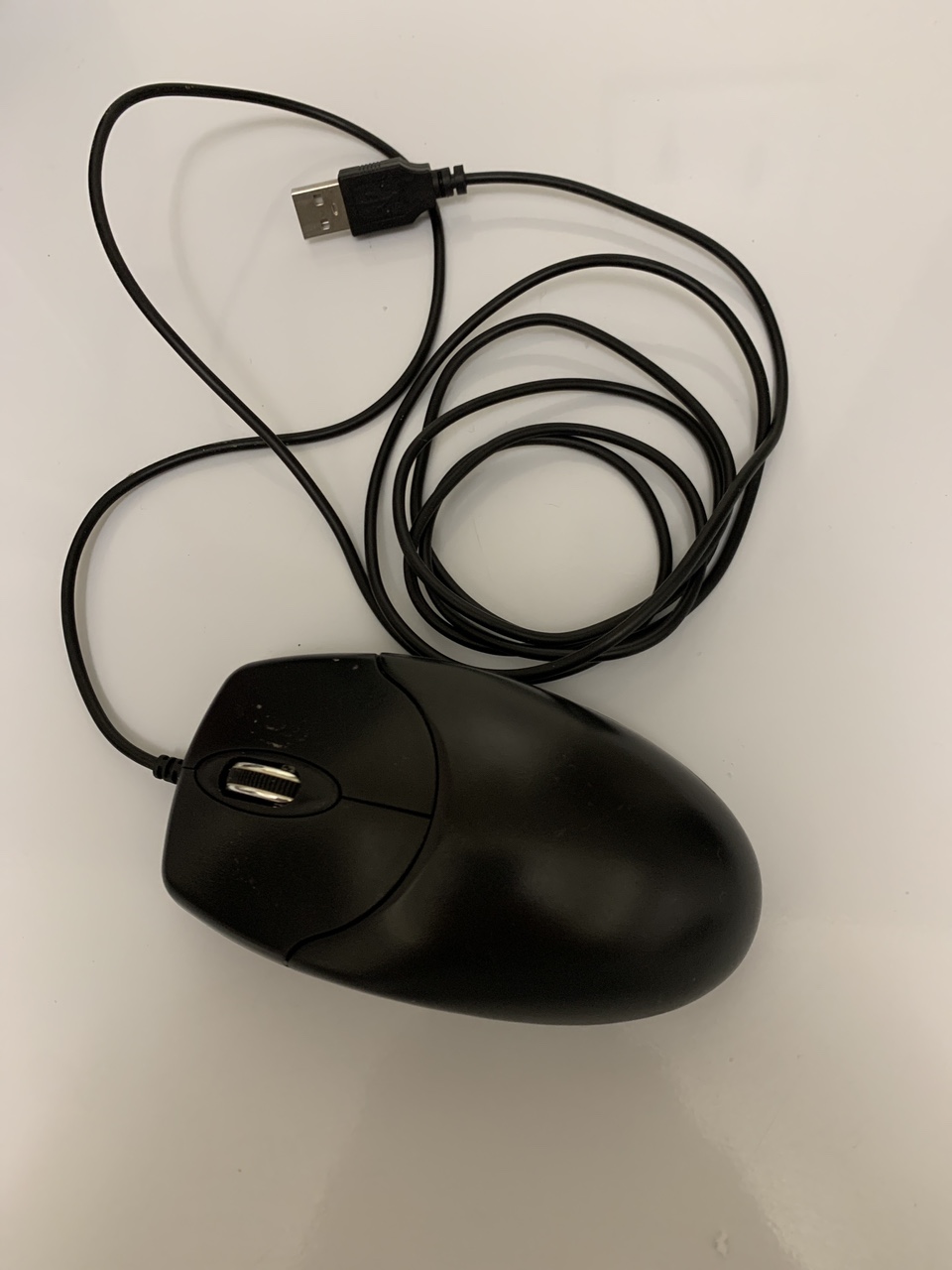 Computer mouse #Freecycle 🥕