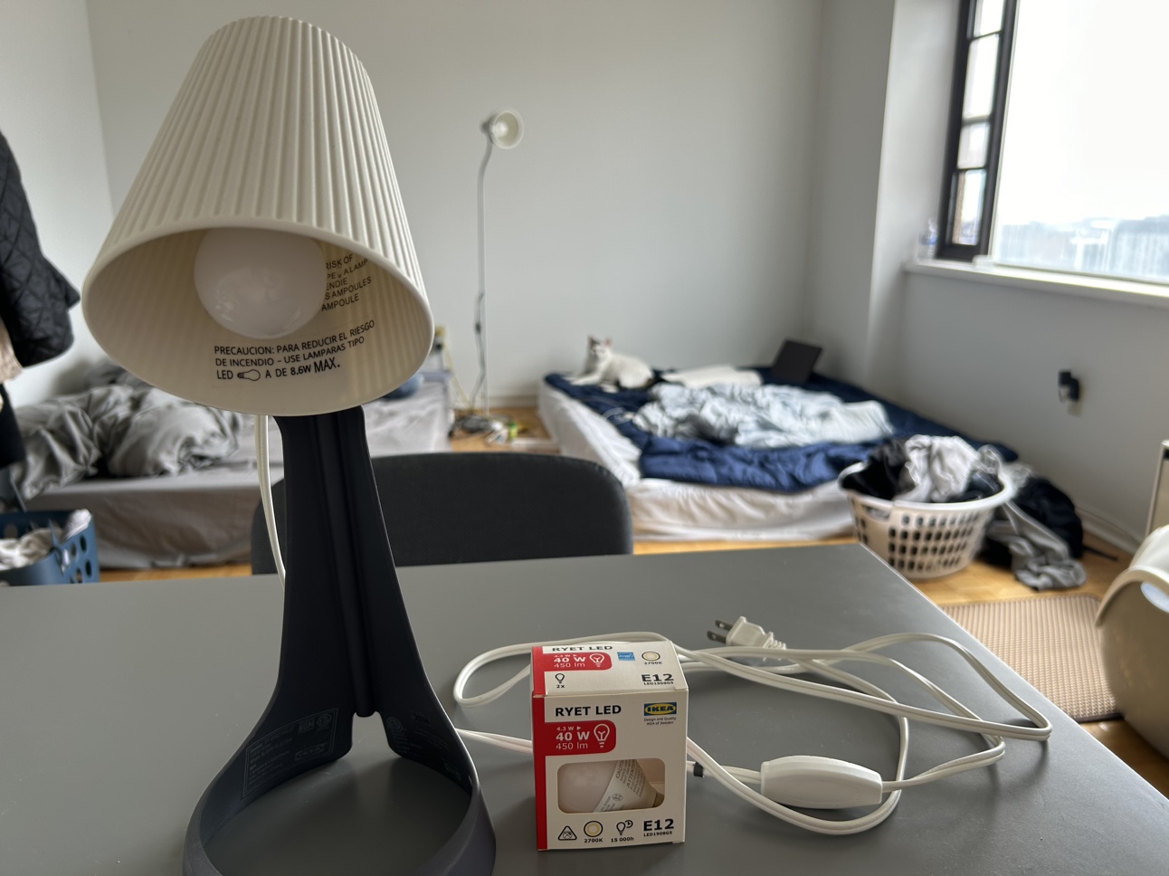 Desk lamp (until 5/29)
