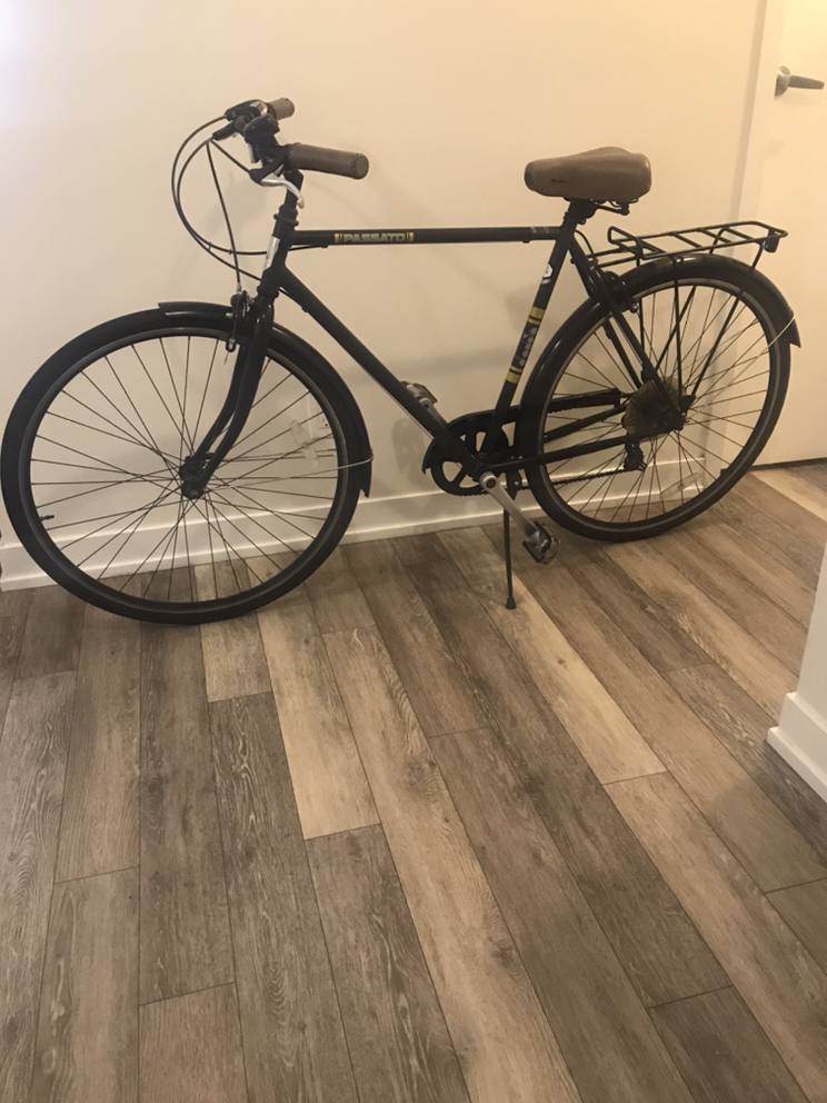 XL bicycle