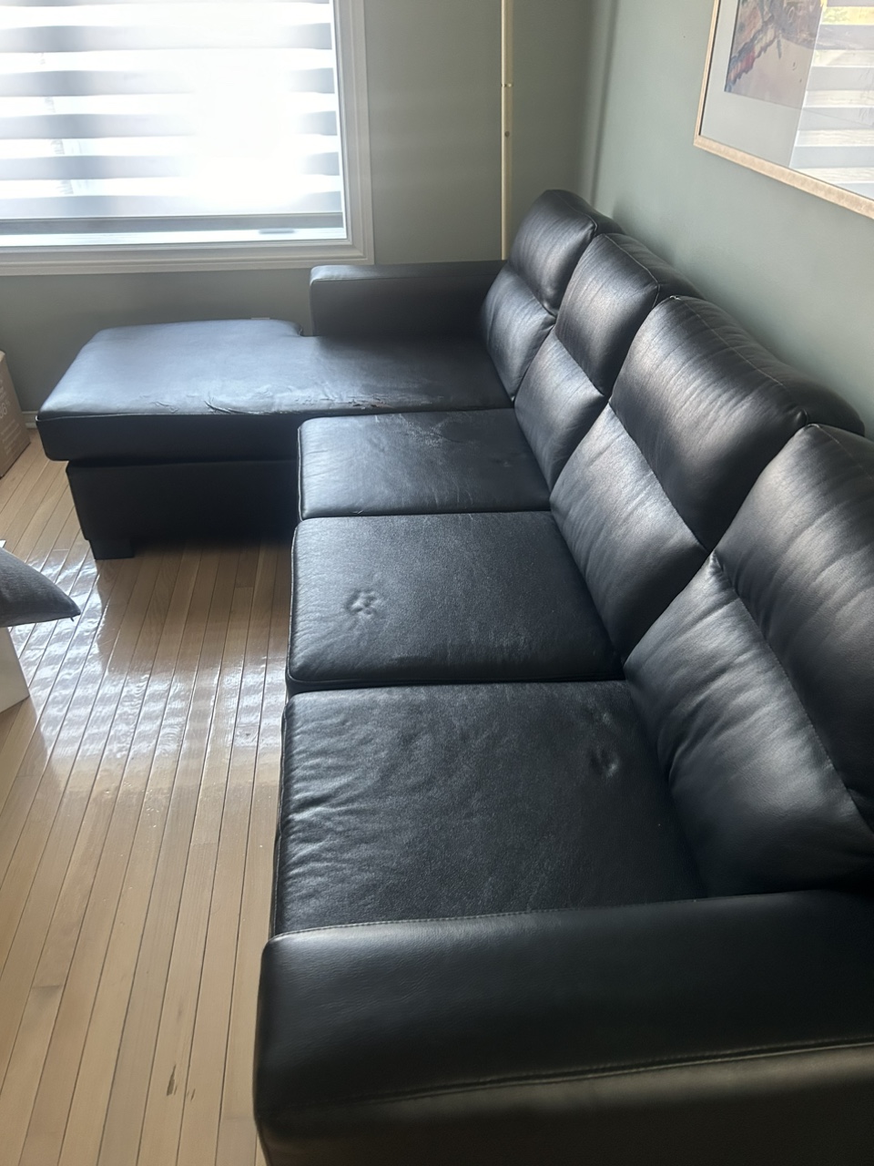 Free image indicator(2)